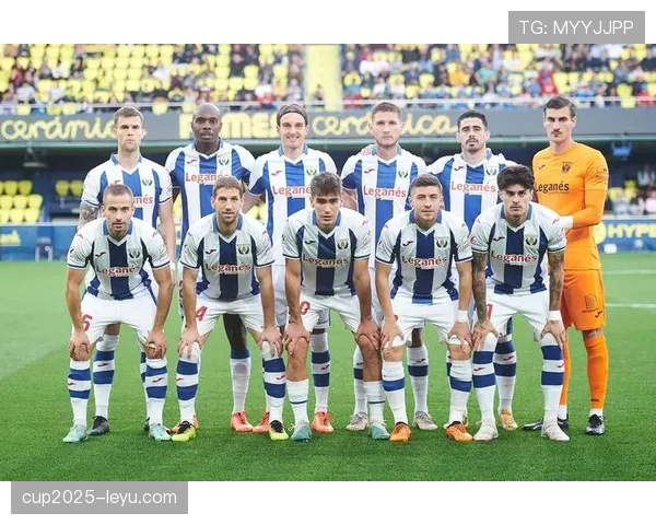 博斯克：融汇球员与教练智慧，引领西班牙足球新时代