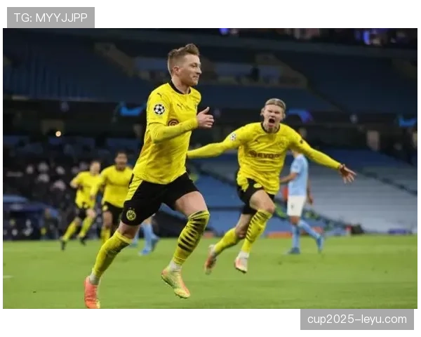 哈兰德与传控体系的适配性分析